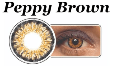 Celebration Contact Lenses Celebration Colors >>SALSA GRAY<< Yearly Spherical Disposable Contact Lenses