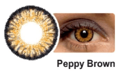 Celebration Contact Lenses Click Here If You Don't Know Which Prescription/Product To Chose. We Will Call You After You Place The Order. / Peppy Brown Celebration Colors >>PEPPY BROWN<< Yearly Spherical Disposable Contact Lenses