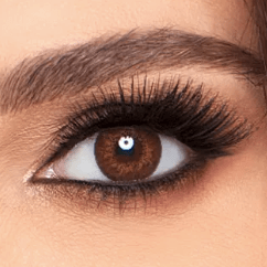 Alcon Contact Lenses Brown Alcon Air Optix Colors >> Spherical << Monthly Disposable Contact Lenses