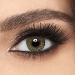 Alcon Contact Lenses Green Alcon Daily Color Contact Lenses >> Plano << Daily Disposable Contact Lenses