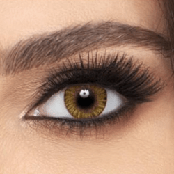 Alcon Contact Lenses Hazel Alcon Daily Color Contact Lenses >> Plano << Daily Disposable Contact Lenses