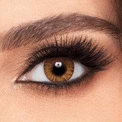 Alcon Contact Lenses Honey Alcon Air Optix Colors >> Spherical << Monthly Disposable Contact Lenses
