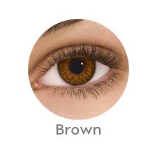 Bausch & Lomb Contact Lenses 2 Lens Pack / Brown / 0.00 Bausch & Lomb Ultra >> Lacelle  << Premium Monthly Disposable Color Contact Lenses