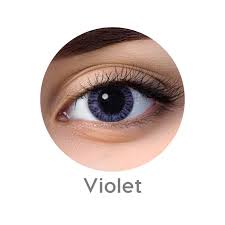 Bausch & Lomb Contact Lenses 2 Lens Pack / Violet / 0.00 Bausch & Lomb Ultra >> Lacelle  << Premium Monthly Disposable Color Contact Lenses